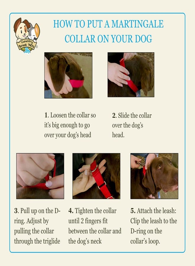 كانتري بروك ديزاين طوق مارتينجال عريض للكلاب من كونتري بروك بيتز - هوسفيت جونيور - مجموعة التمويه التي تتميز بتصاميم متينة (تمويه غروب الشمس البرتقالي، كبير) - Image 5